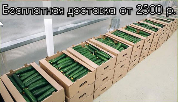 Якутяне удивились "выгодному" предложению по доставке огурцов из "Саюри"