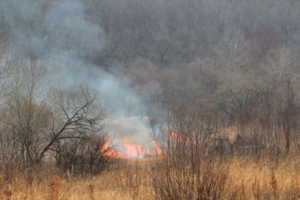 В Якутии зарегистрировано пять лесных пожаров