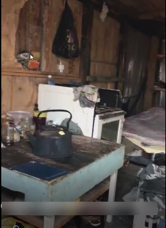 "Голов нет, но есть куча костей и перьев", - зоозащитница съездила в заброшенный гараж, где обнаружили останки собак