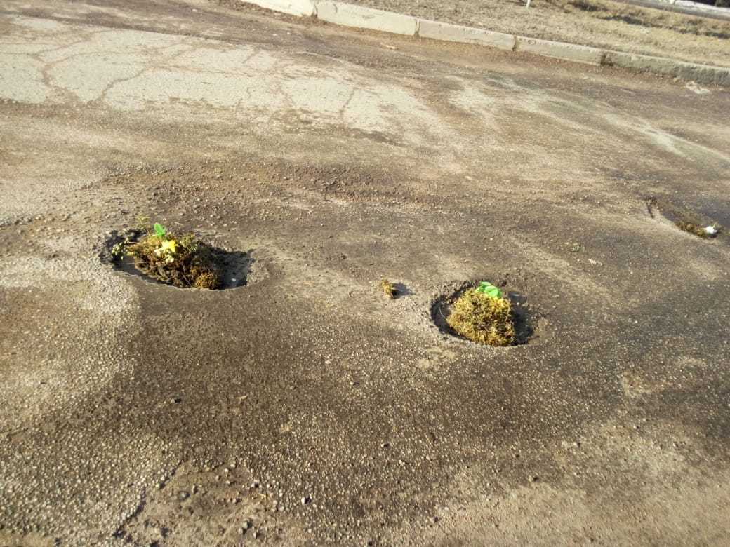 Видеофакт: В Нерюнгри выбоины на асфальте  украсили цветами