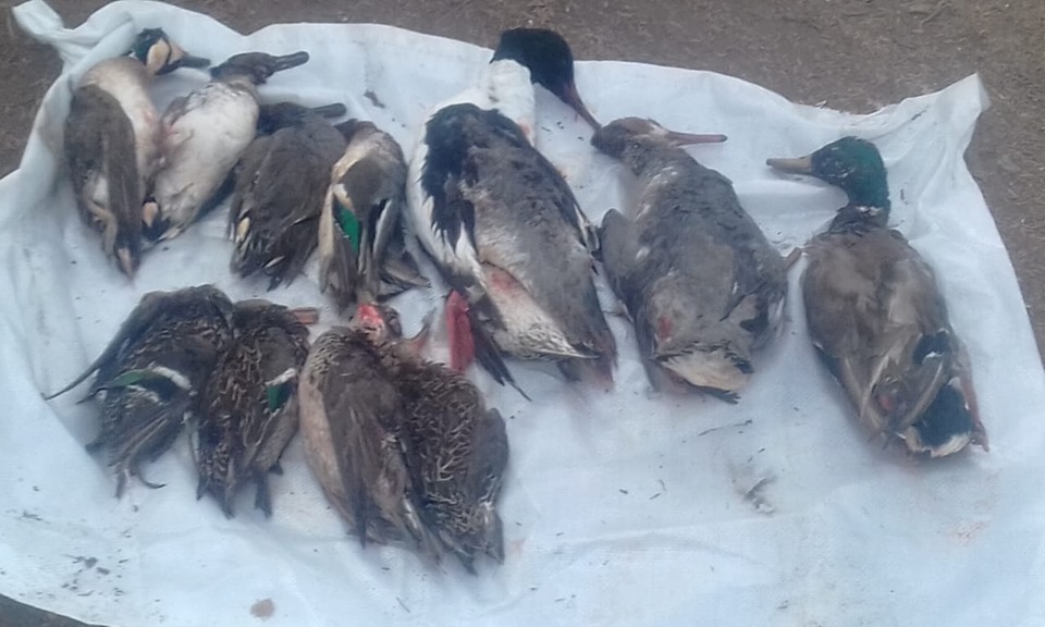 Фотофакт: В Якутске охотник раздал добычу бесплатно