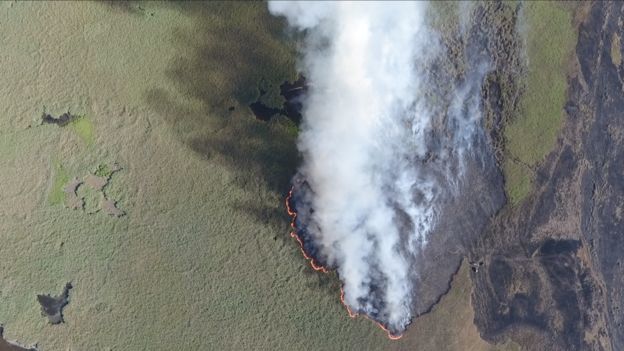 В Якутии выясняются обстоятельства несчастного случая, произошедшего во время тушения лесного пожара