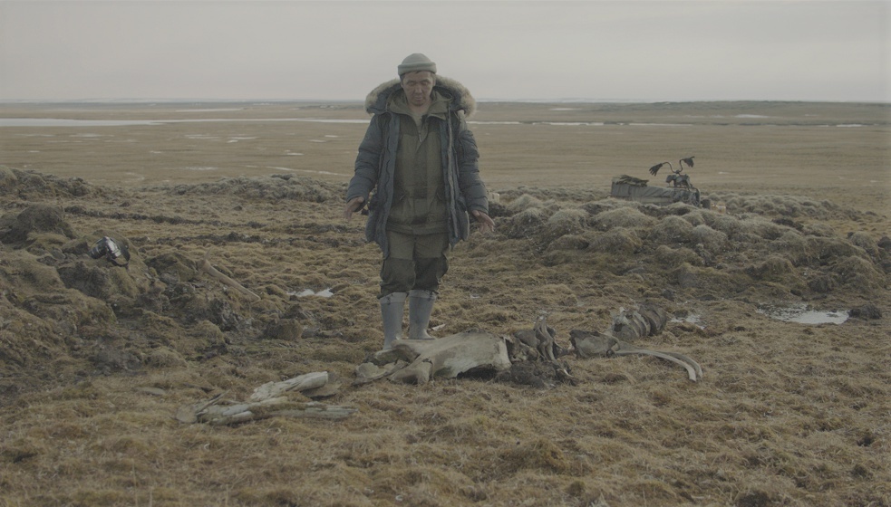 В Якутии найден скелет мамонта с бивнем, обработанным древним человеком