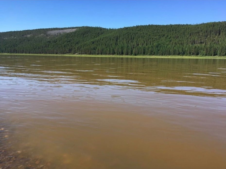 Минэкологии проводит проверку по факту загрязнения рек Алданского района