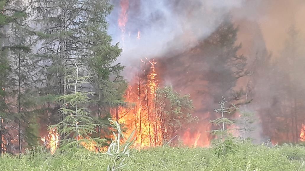 Глава Якутии сообщил о возбуждении уголовного дела по факту возникновения лесного пожара в Верхоянском районе