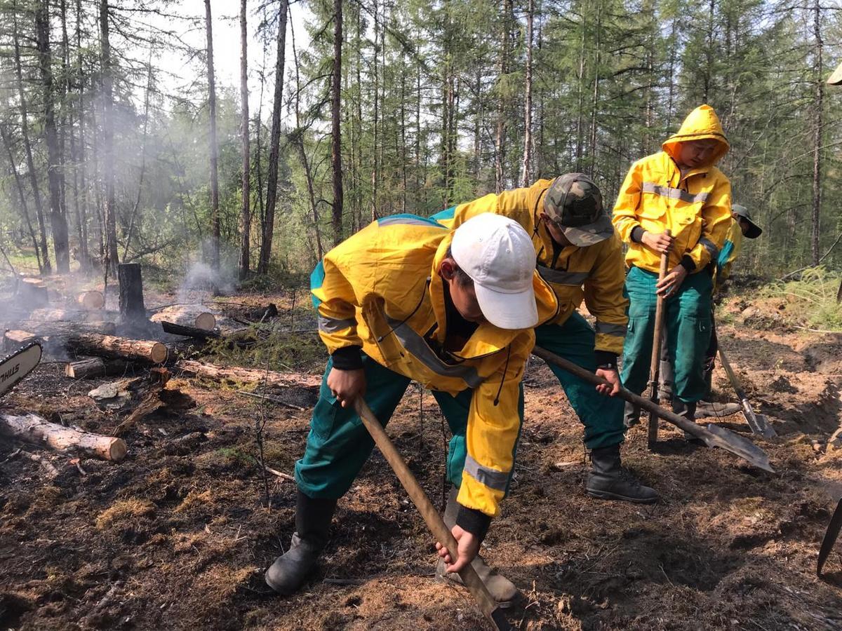 В Якутии тушат восемь лесных пожаров