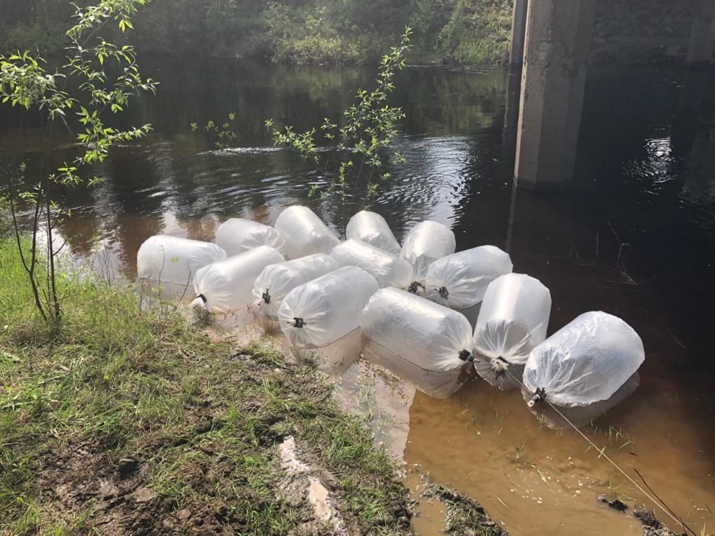 АО «Водоканал» восполняет биоресурсы якутских рек