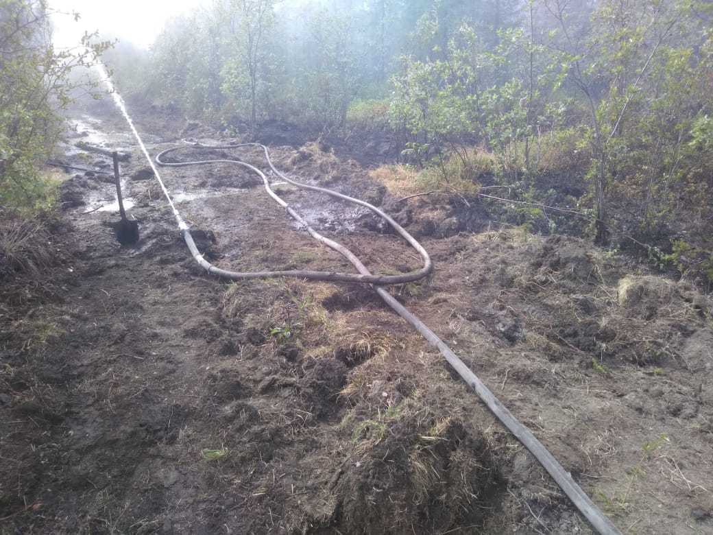 890016a3-a4db-4f42-a034-f604084e8c77