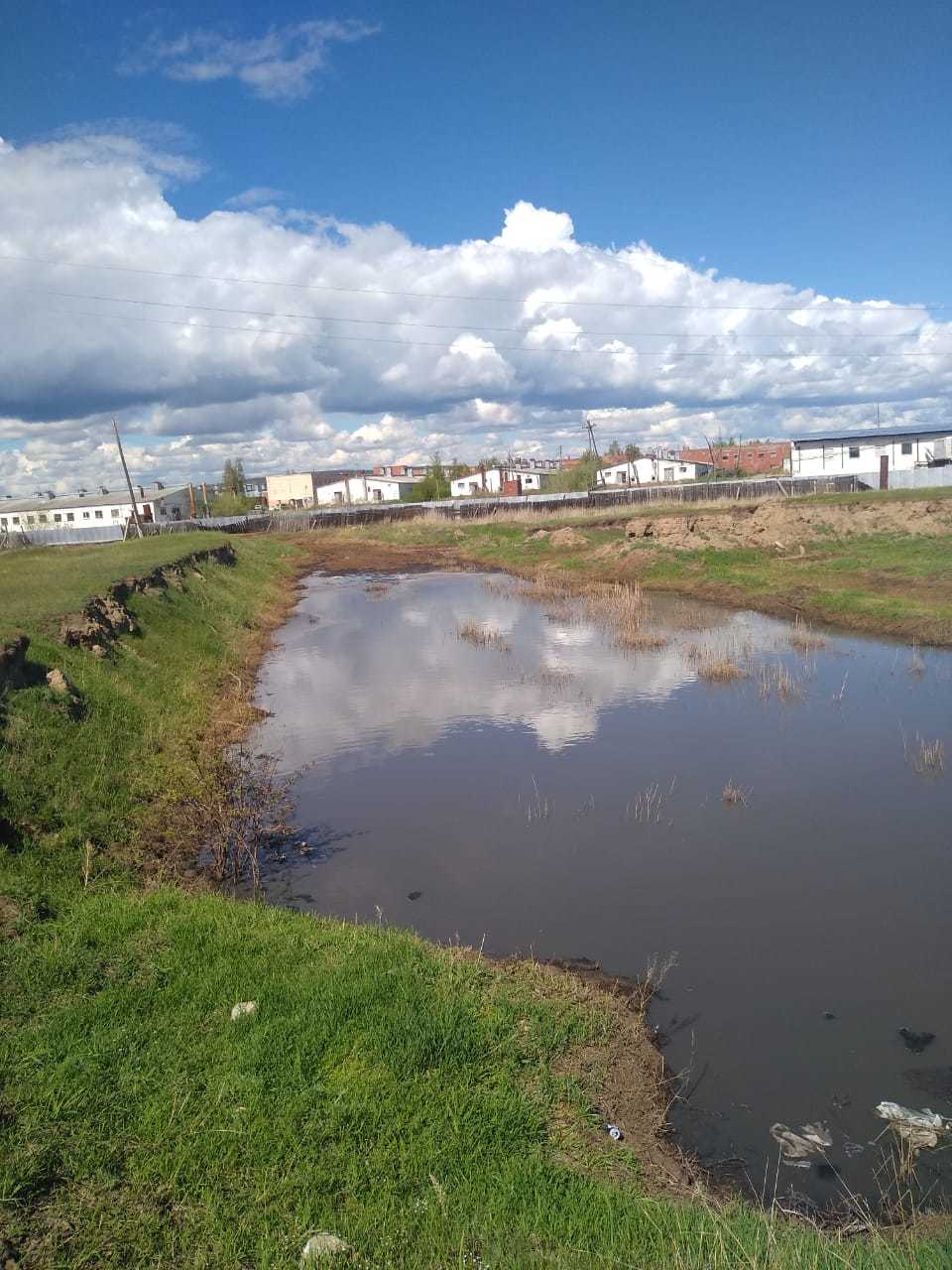 Жители села Пригородное жалуются на интенсивный запах фекалий