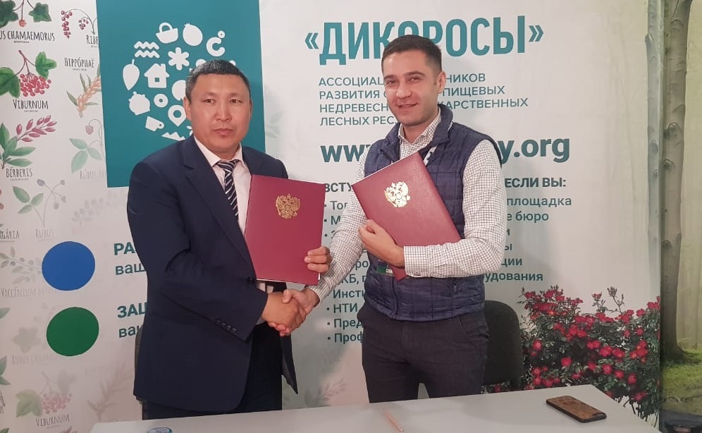 Якутский кооператив дикоросов в этом году планирует продать 90 тонн брусники