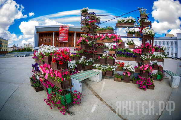 В Якутске высажено более 8 тысяч саженцев и 1,3 миллиона цветов