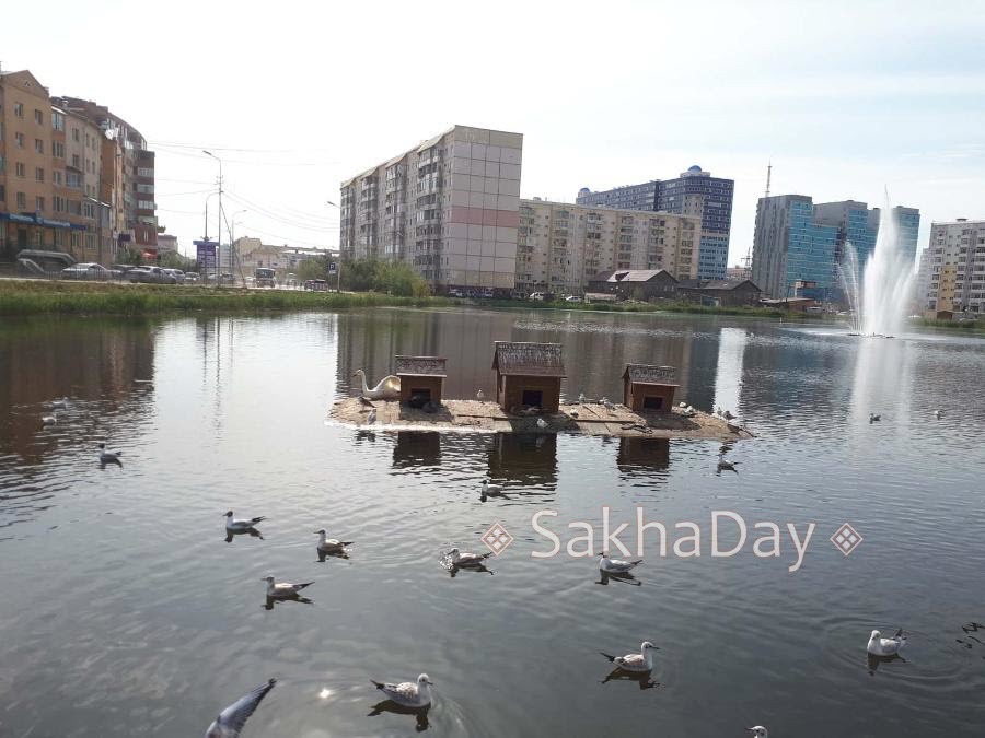 Плывите, лебеди, плывите