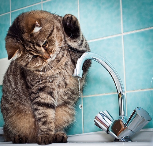 Отключение холодной воды в Якутске 15 июля