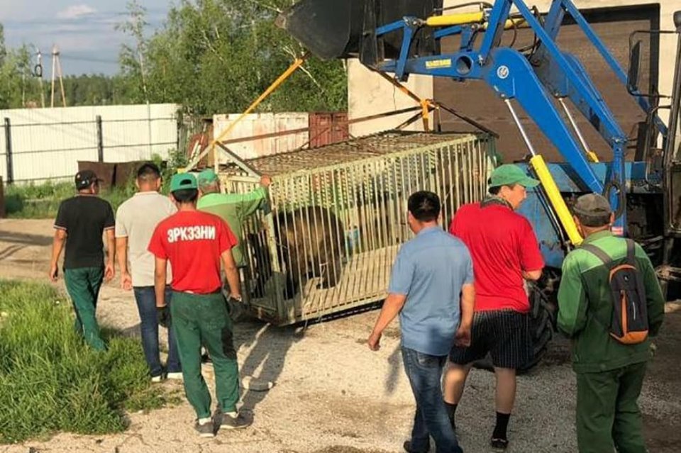 66230840_1306899892807805_6986243410545868800_n