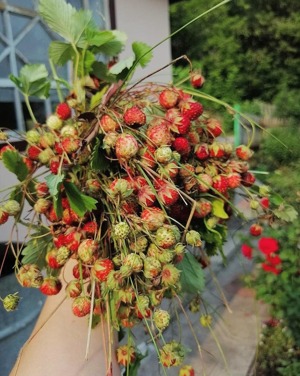 67106715_476949006206984_4046571931968530702_n