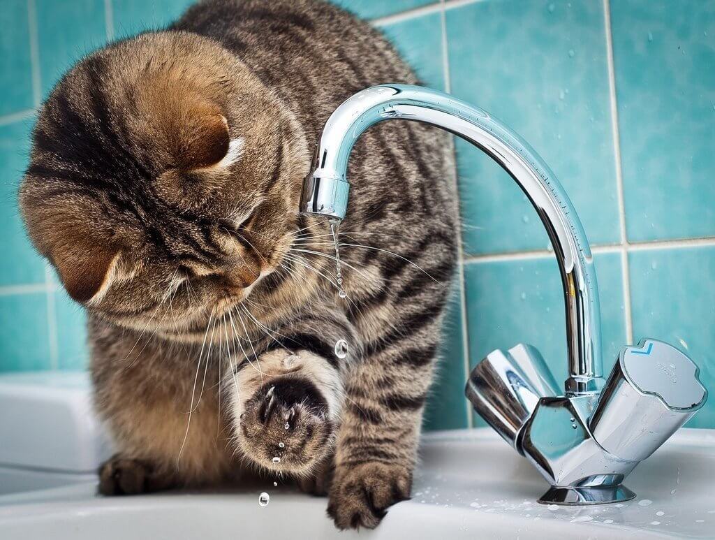 О временном ограничении подачи холодной воды 11 июля