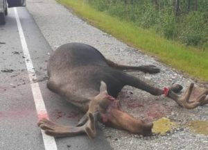 IMG_20190710_130943_697