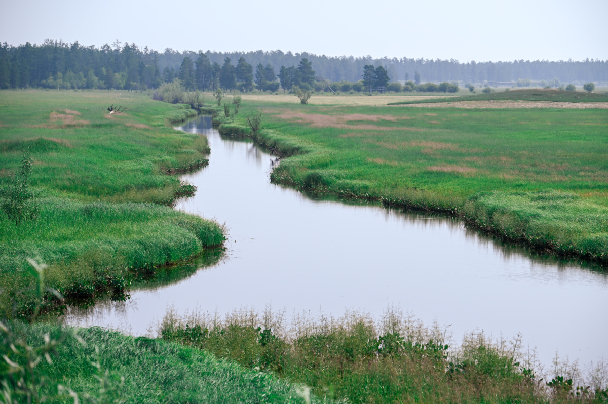 LRM_EXPORT_136034967167636_20190722_162154447