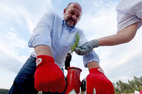 10 губернаторам России грозит отставка в 2020 году