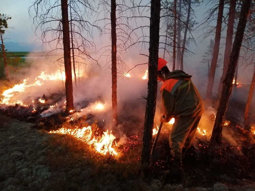 В Якутии к тушению пожаров привлечено 699 человек