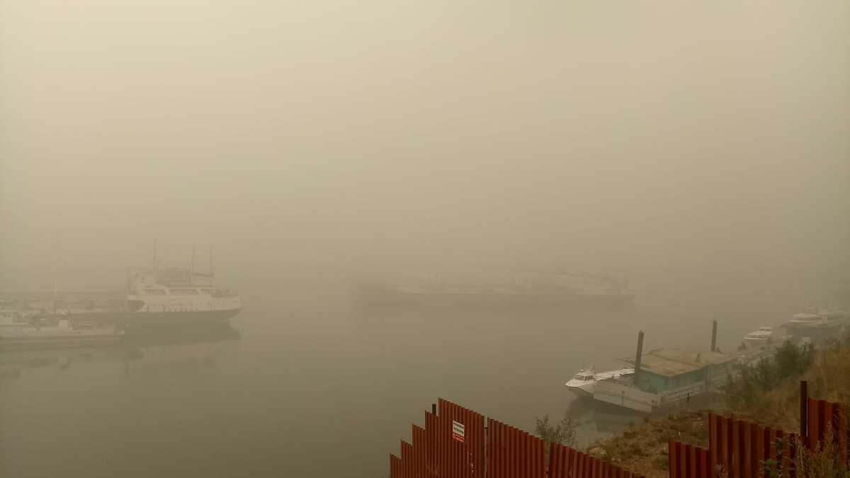 Пеледуй сегодня, 9 августа