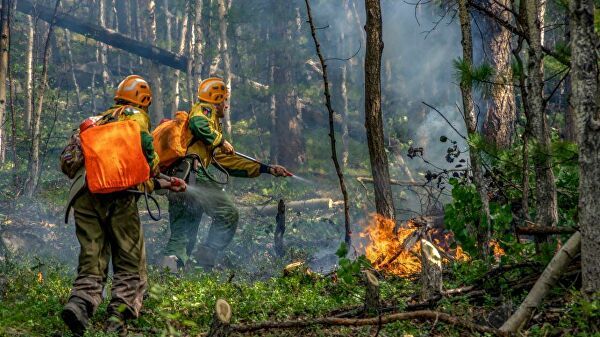 Генпрокуратура: Региональные власти искажают статистику по лесным пожарам