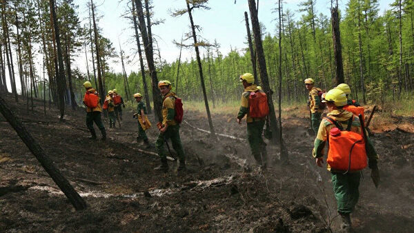 Власти Якутии погасят долг перед жителями, участвовавшими в тушении пожаров