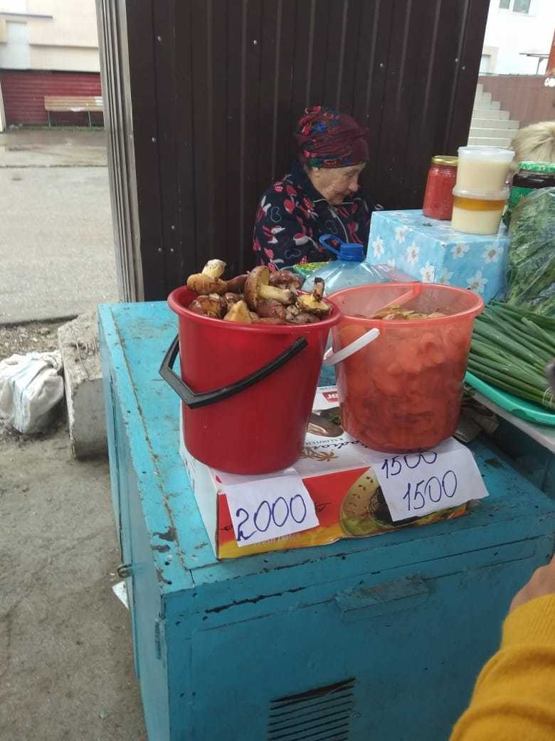 Почем грибочки? На Крестьянском рынке в Якутске появились маслята