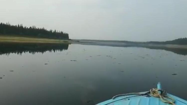 Минэкологии Якутии проверяет информацию о подозрительных сгустках на реке Вилюй (видео)