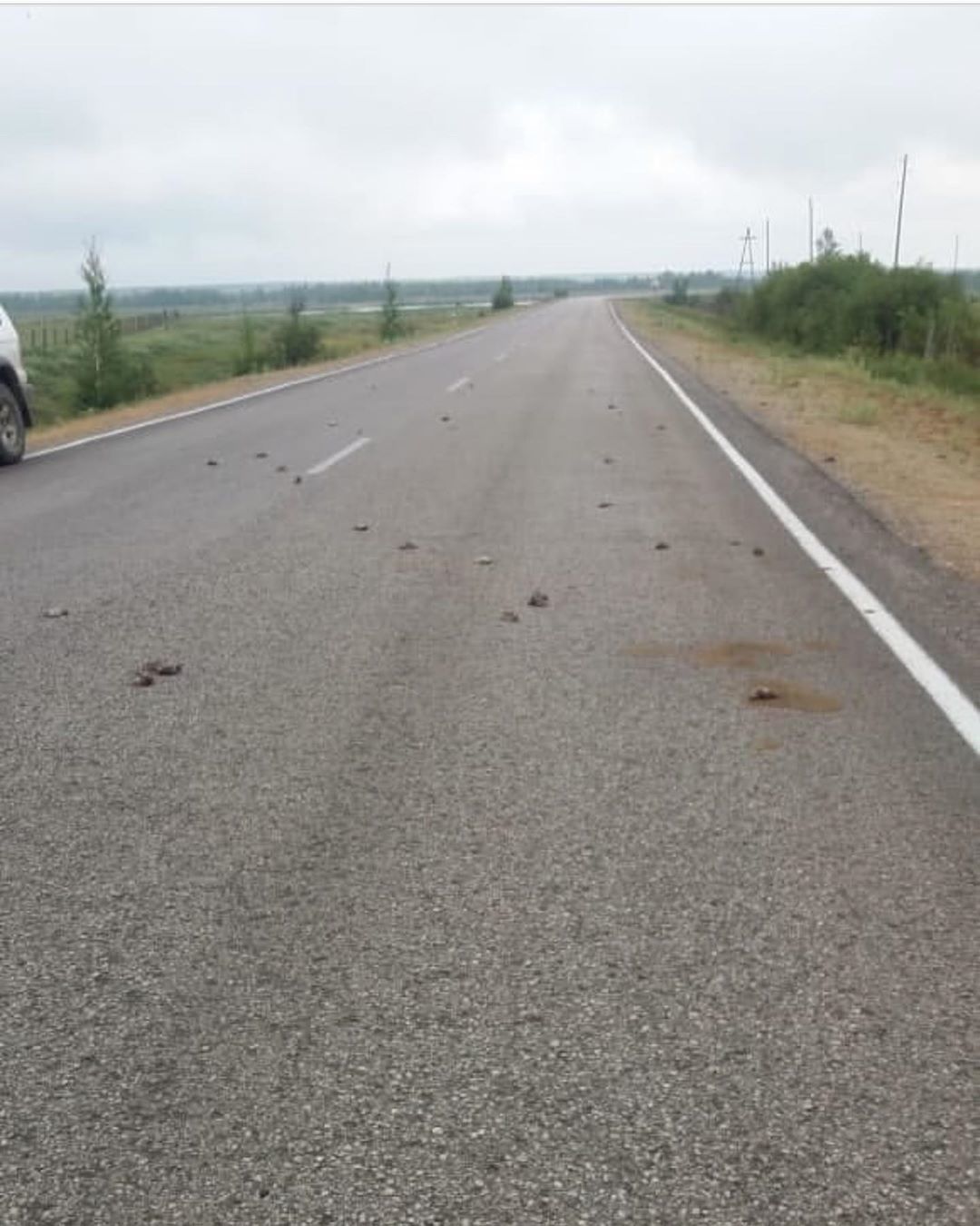 67475832_1925927314173414_1999593389419713709_n