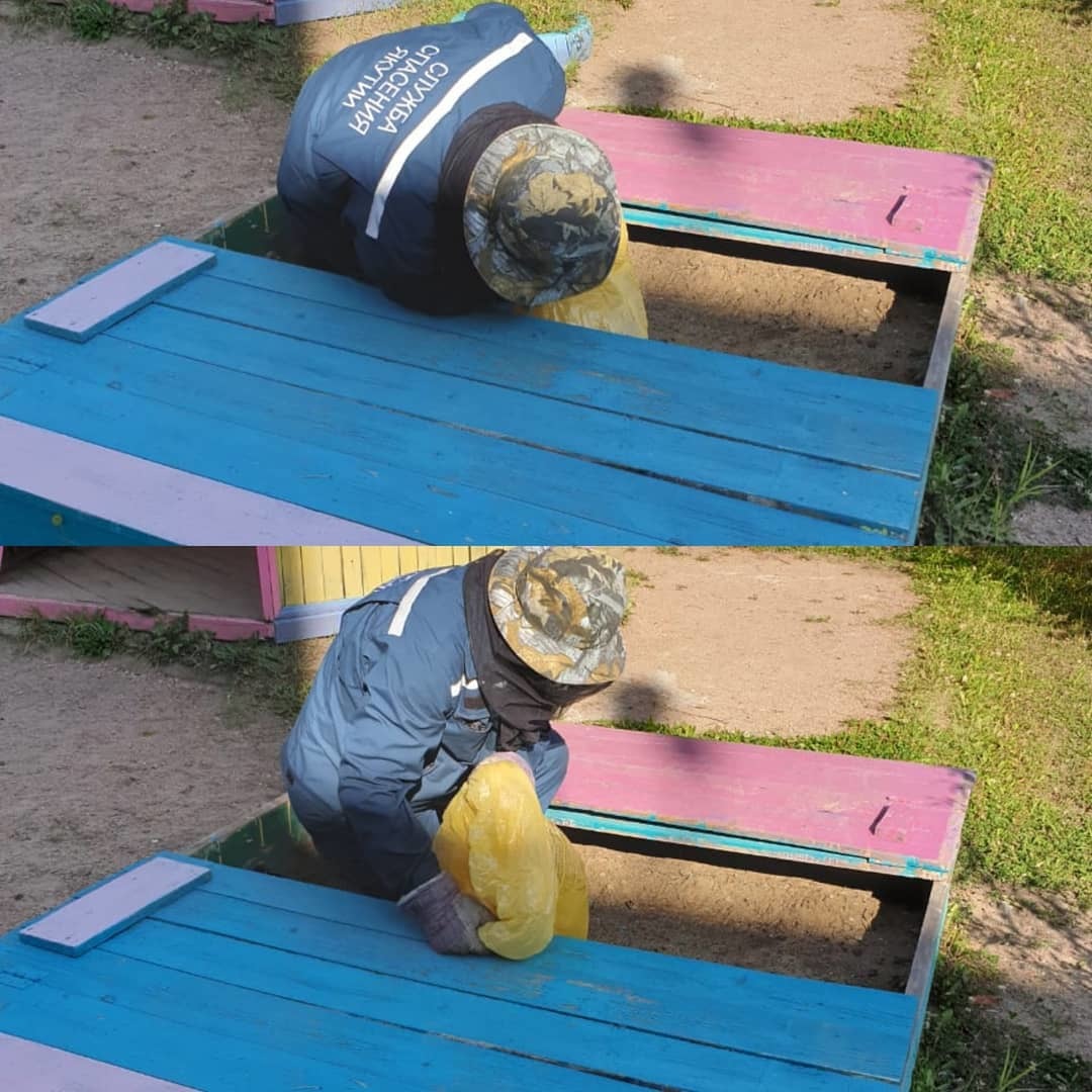 Спасатели выпроводили злых ос с территории детсада в Якутии