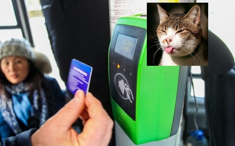 «Цифровой блэкаут» в автобусах Якутска продолжается