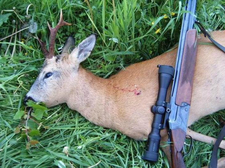 В Якутске из офиса "Сахабулта" похитили лицензии на охоту