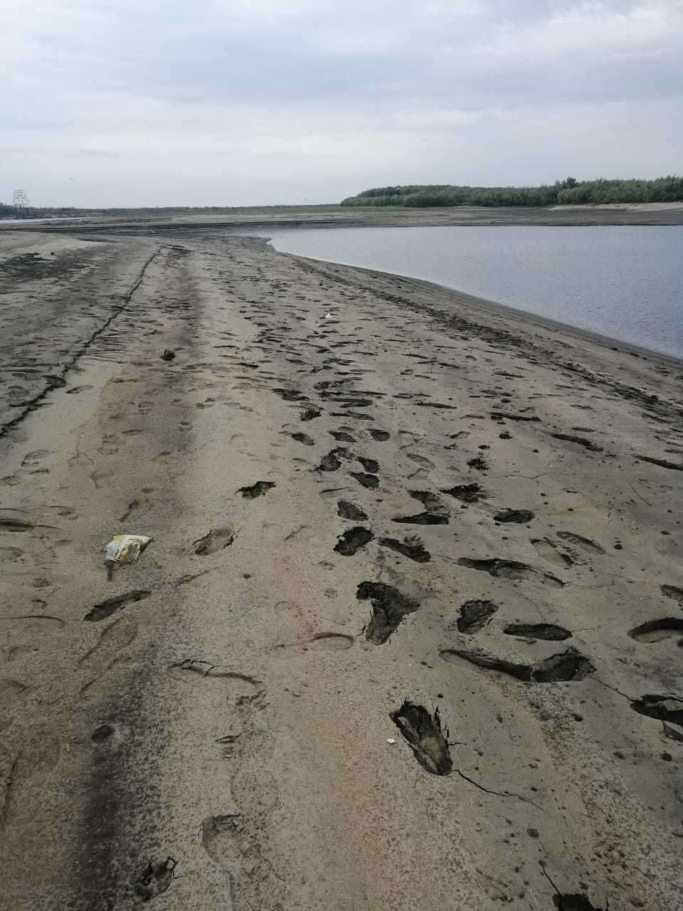 Река Лена катастрофически обмелела и стала похожа на ручей