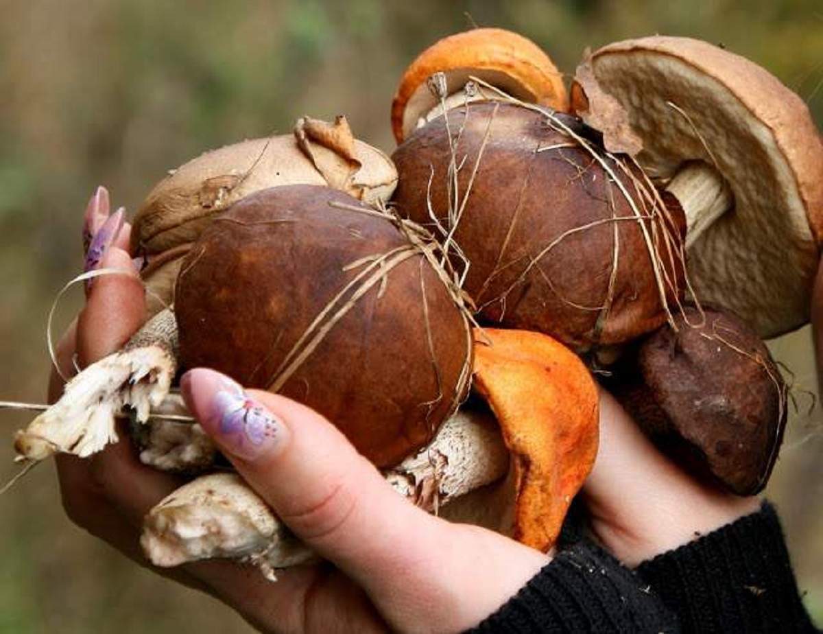 Когда охота пуще неволи