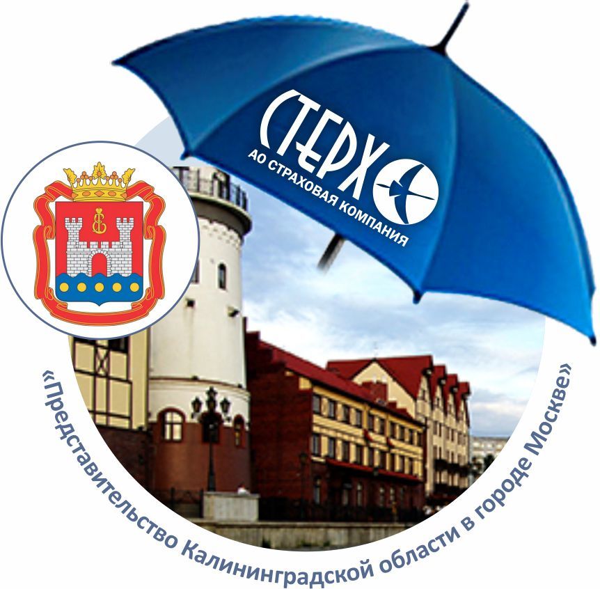 Под крылом СК «Стерх»: Представительство Калининградской области при Правительстве России