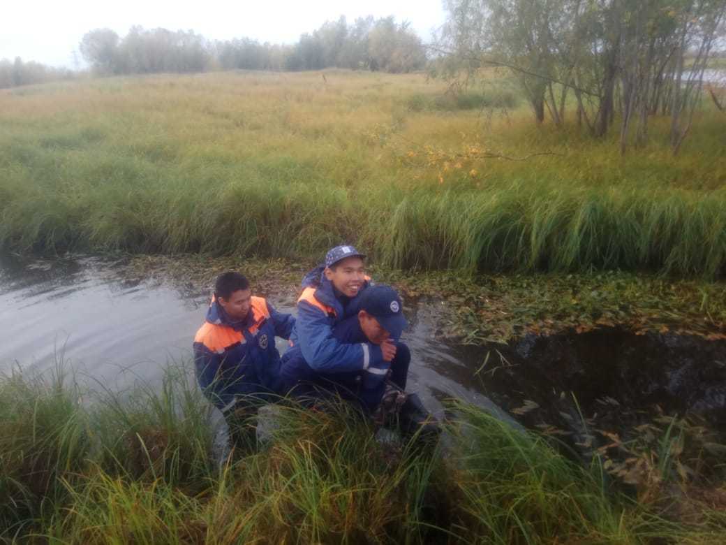 Потерявшийся на Зеленом лугу ребенок найден (подробности)