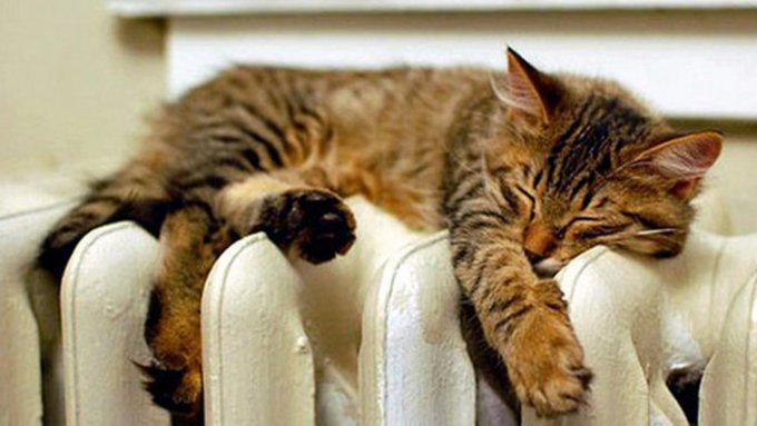 Тепло в жилом фонде Якутска запустят  не позднее 15 сентября