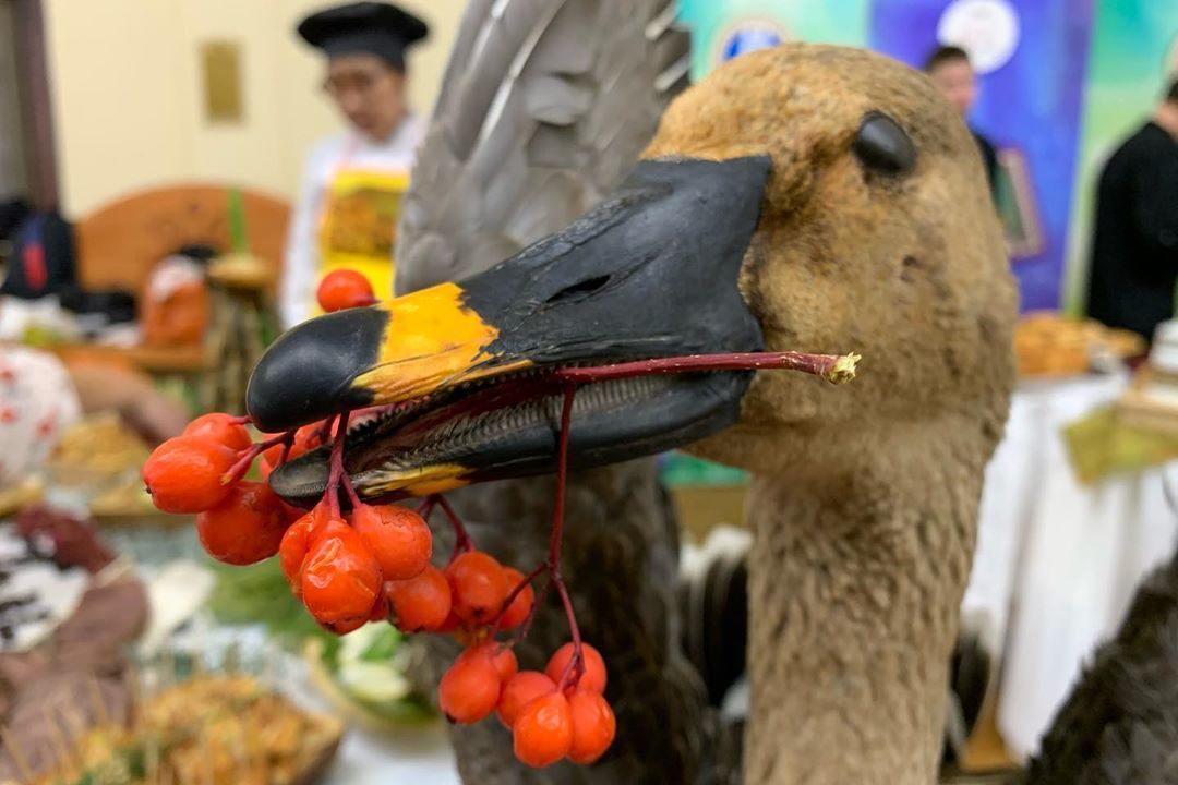 71913308_716730385468835_5204652783892323791_n