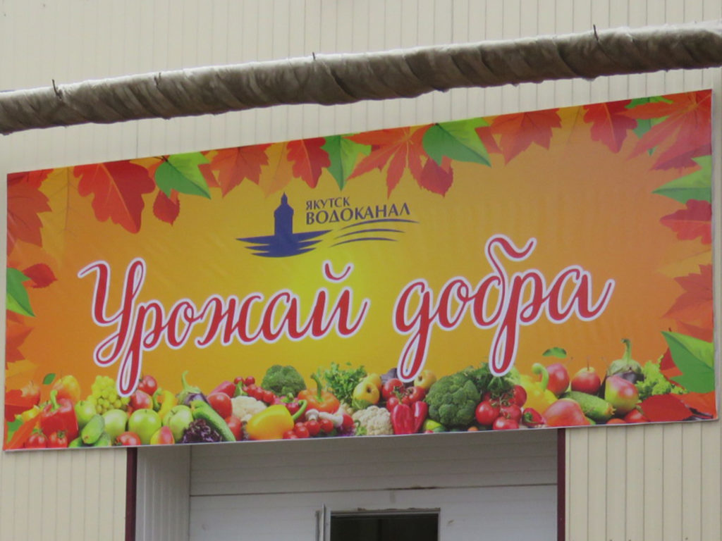 Водоканальцы собрали «Урожай добра»