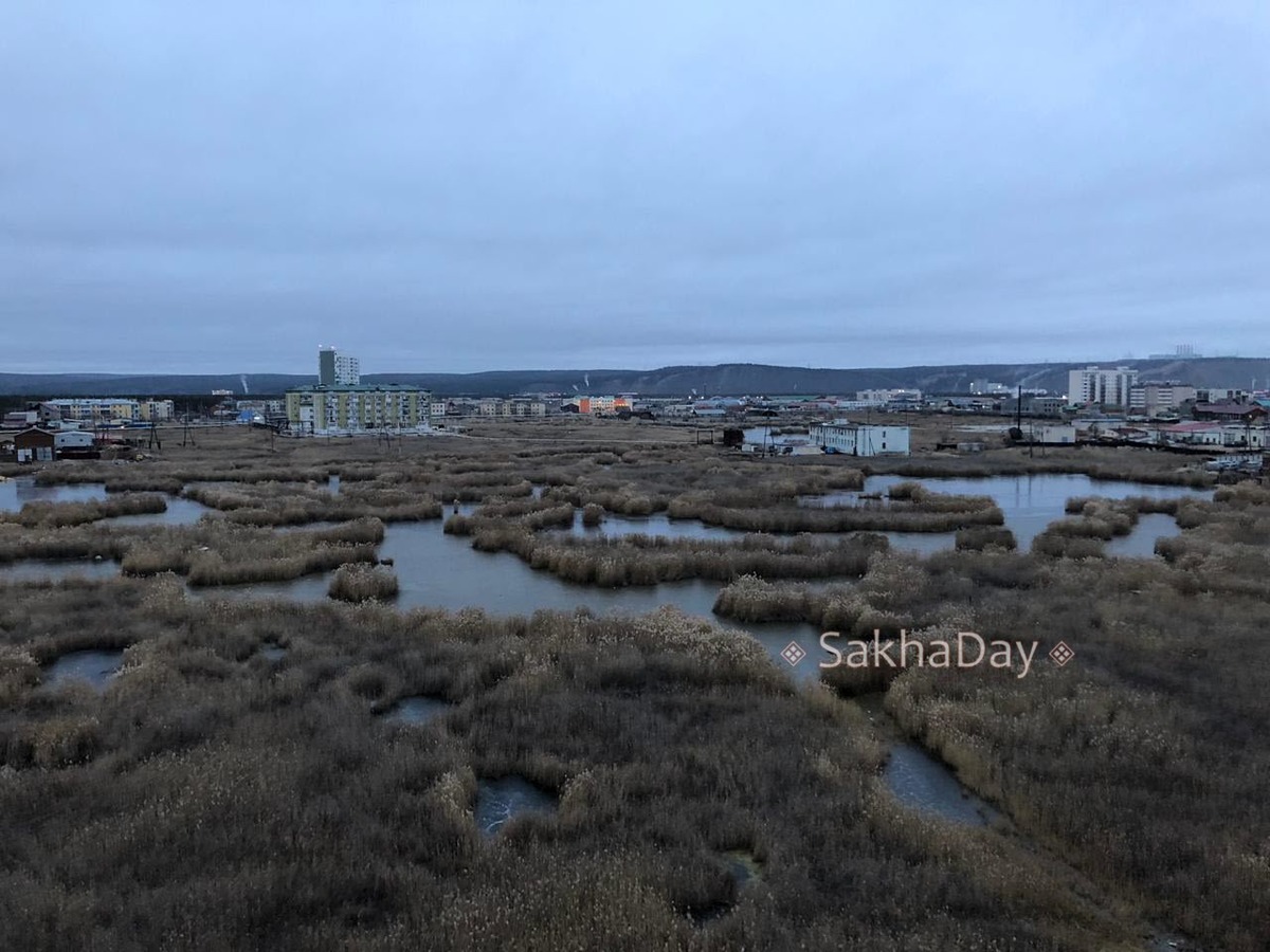 В Якутске перестреляли уток, облюбовавших городское озеро