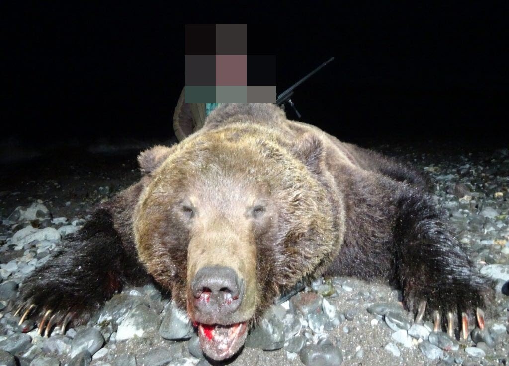 "В Якутии ежегодно происходит 3-4 нападения медведей на людей", - Александр Тастыгин