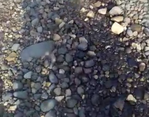 В Минэкологии  Якутии проверяют информацию о загрязнении мазутом реки Лены