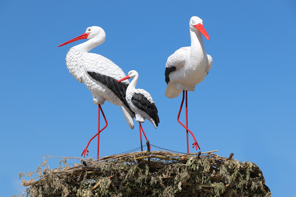 Территорию колоний в Якутии украсили фигуры птиц