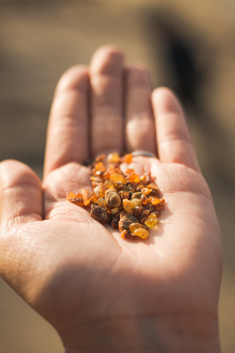 СБОР ЯНТАРЯ