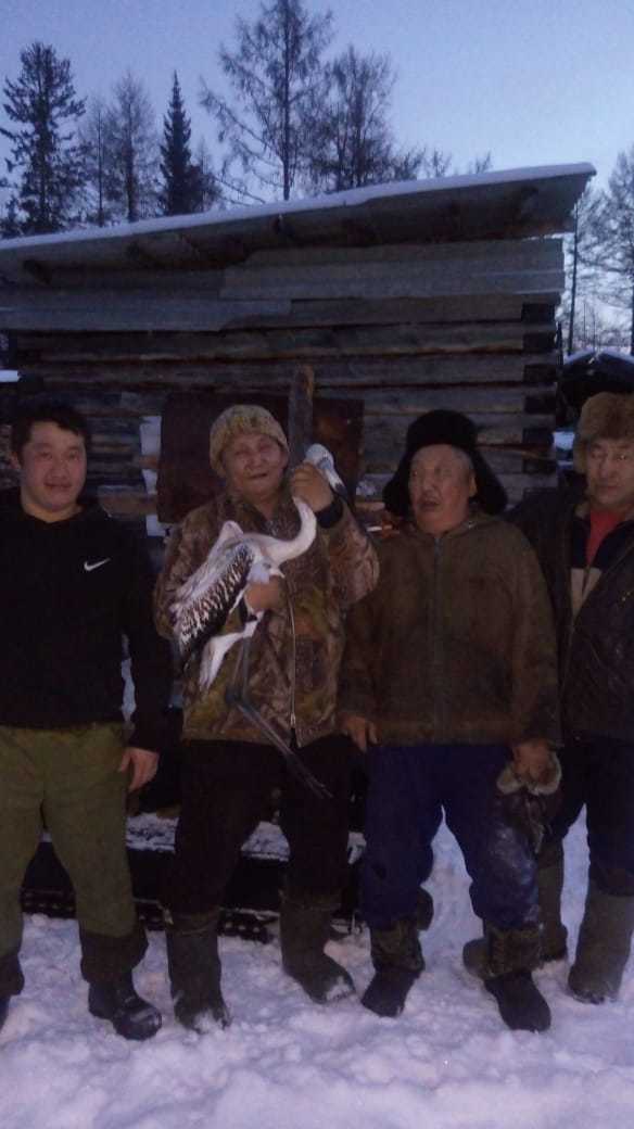 Фотофакт: В якутском селе обнаружили фламинго