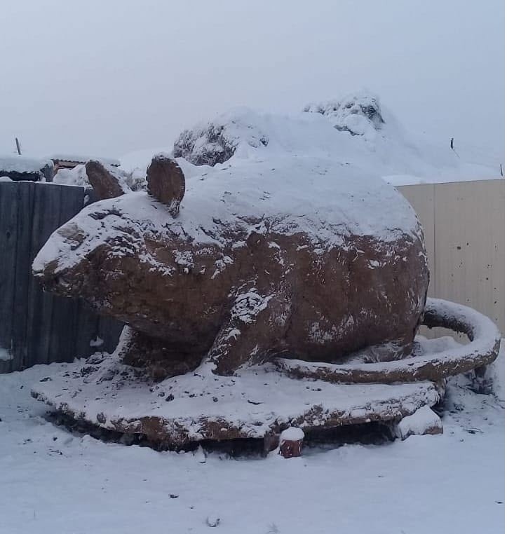 Фотофакт: Якутский скульптор Боппосов слепил крысу из навоза
