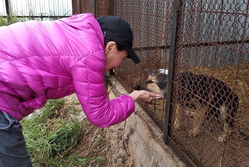 Сардана Авксентьева обратилась с просьбой о поддержке пункта передержки животных