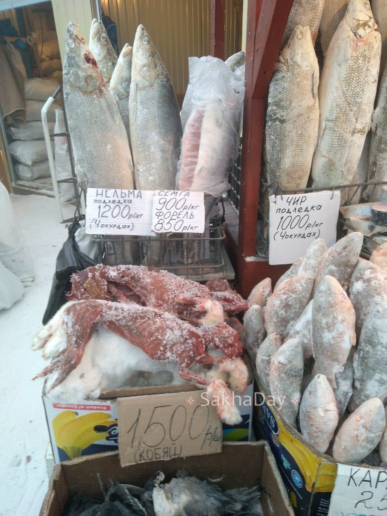 Крестьянский рынок в Якутске:  строганина к Новому году станет еще дороже