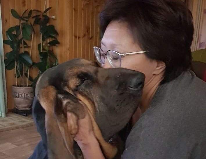 Мэр Якутска сообщила об отказе муниципалитета от работы с бродячими  животными